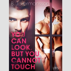 You can look, but you cannot touch - erotic short story