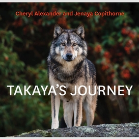 Takaya's journey