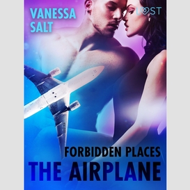 Forbidden places: the airplane - erotic short story