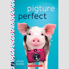 Pigture perfect: a wish novel