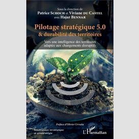 Pilotage stratégique 5.0 et durabilité des territoires