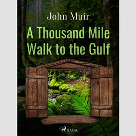 A thousand mile walk to the gulf