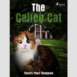 The calico cat