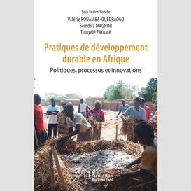Pratiques de développement durable en afrique