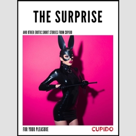 The surprise - and other erotic short stories