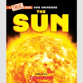 The sun (a true book)