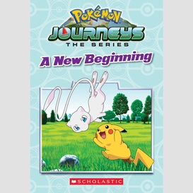 Pokémon: galar chapter book #1: a new beginning