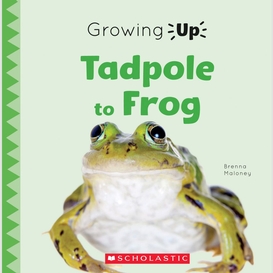 Tadpole to frog (growing up)