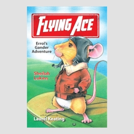 Flying ace