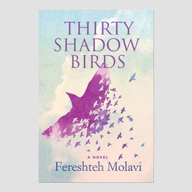 Thirty shadow birds