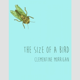 The size of a bird