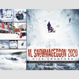 Nl snowmageddon 2020
