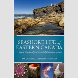 Seashore life of eastern canada