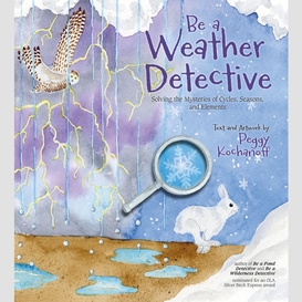 Be a weather detective