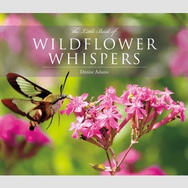 The little book of wildflower whispers