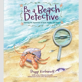 Be a beach detective