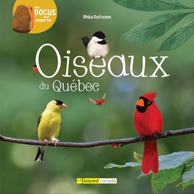 Oiseaux du québec