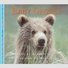 Baby grizzly