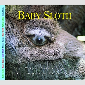 Baby sloth