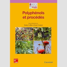 Polyphénols et procédés : transformation des polyphénols au travers des procédés appliqués à l'agro-alimentaire