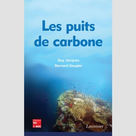 Les puits de carbone