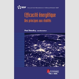 Efficacité énergétique : des principes aux réalités