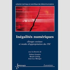 Inégalités numériques : clivages sociaux et modes d'appropriation des tic