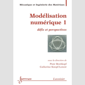 Modélisation numérique : défis et perspectives volume 1