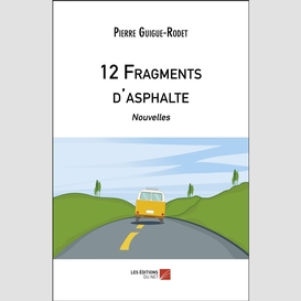 12 fragments d'asphalte