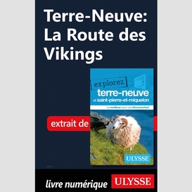 Terre-neuve: la route des vikings