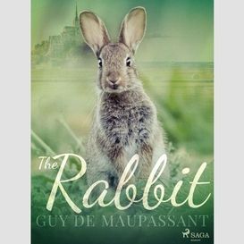 The rabbit