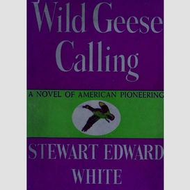 Wild geese calling