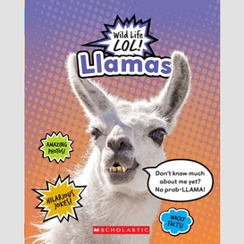 Llamas (wild life lol!)