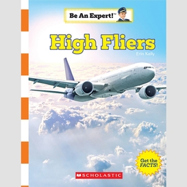 High fliers (be an expert!)