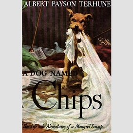 A dog named chips: the life and adventures of a mongrel scamp