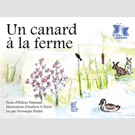 Un canard à la ferme