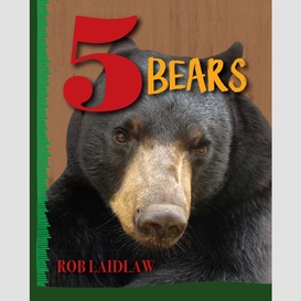 5 bears