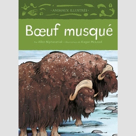 Bœuf musqué