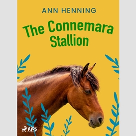 The connemara stallion