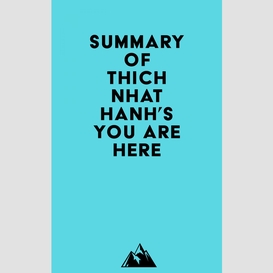 Summary of thich nhat hanh's you are here