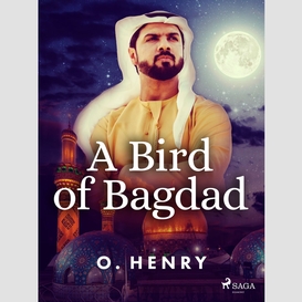 A bird of bagdad