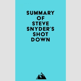 Summary of steve snyder's shot down