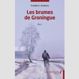 Les brumes de groningue