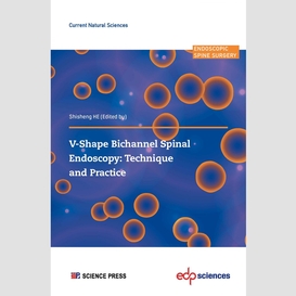 V-shape bichannel spinal endoscopy:  technique and practice
