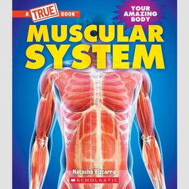 Muscular system (a true book: your amazing body)