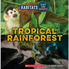 Tropical rainforest (wild world: habitats day and night)