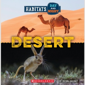 Desert (wild world: habitats day and night)