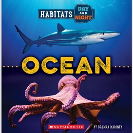 Ocean (wild world: habitats day and night)