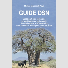 Guide dsn