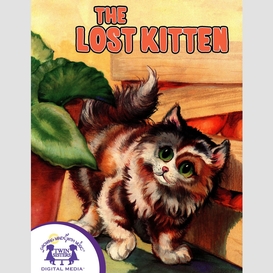 The lost kitten